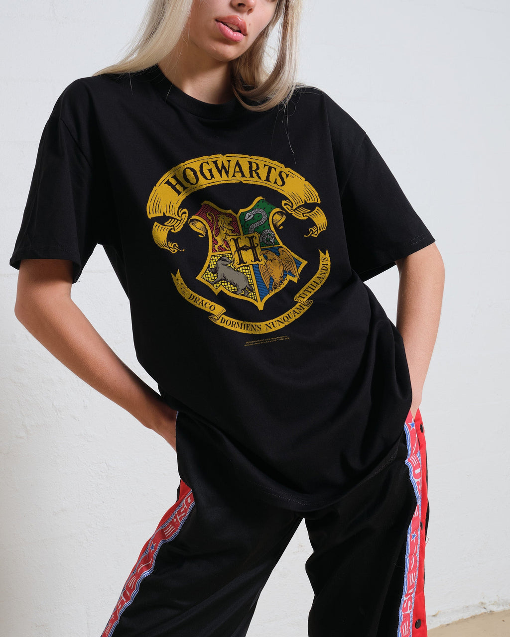 Hogwarts Crest T-Shirt product image 1