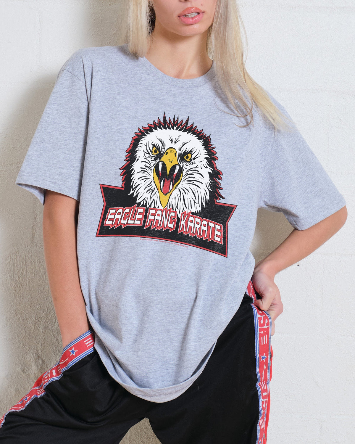 Eagle Fang Karate Logo T-Shirt product image 4