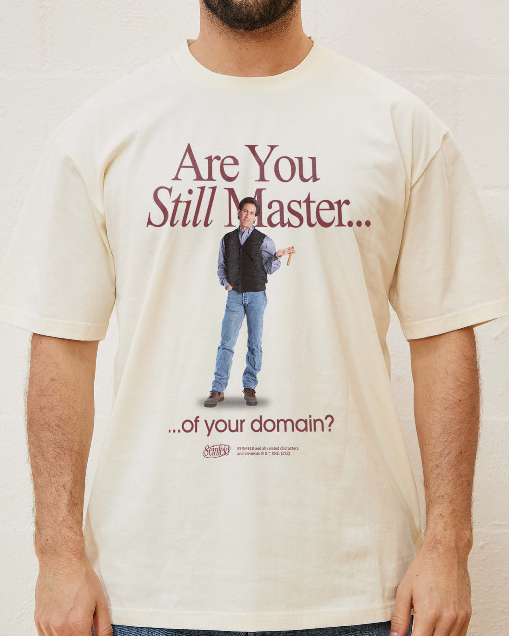 Master of Your Domain T-Shirt product image 2