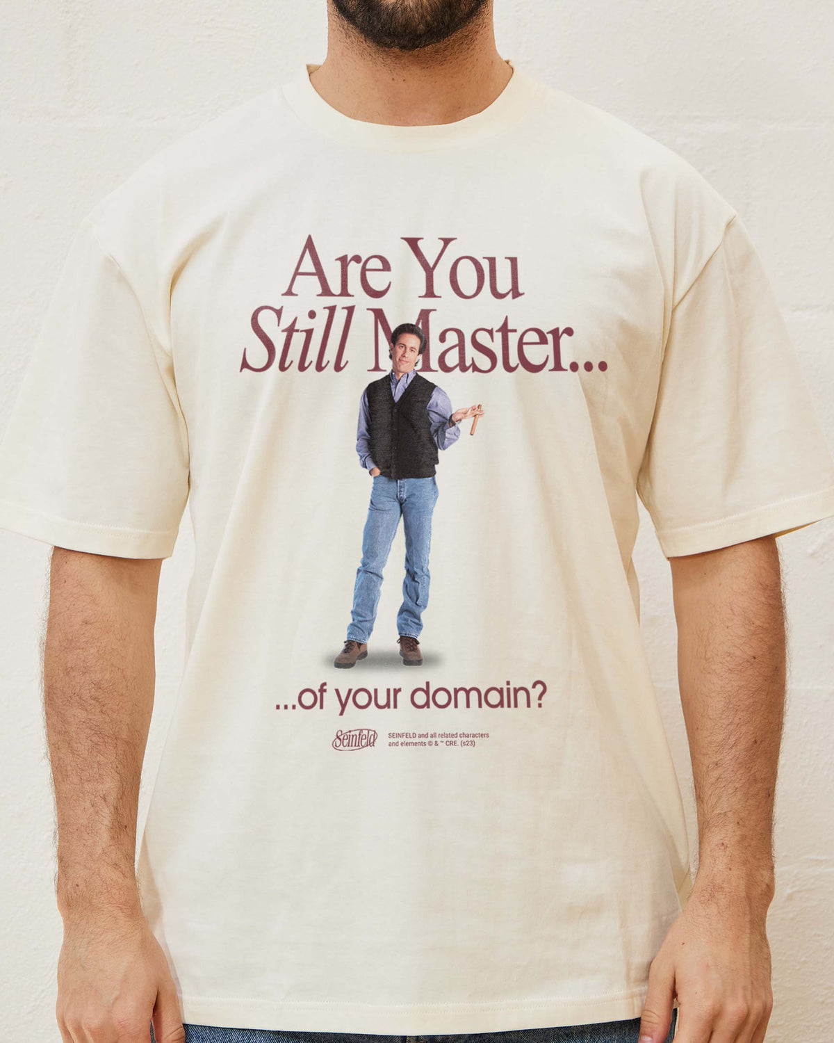 Master of Your Domain T-Shirt product image 2