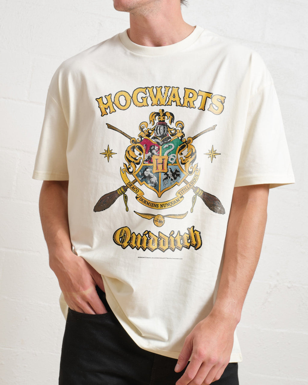 Hogwarts Quidditch Shield T-Shirt product image 1