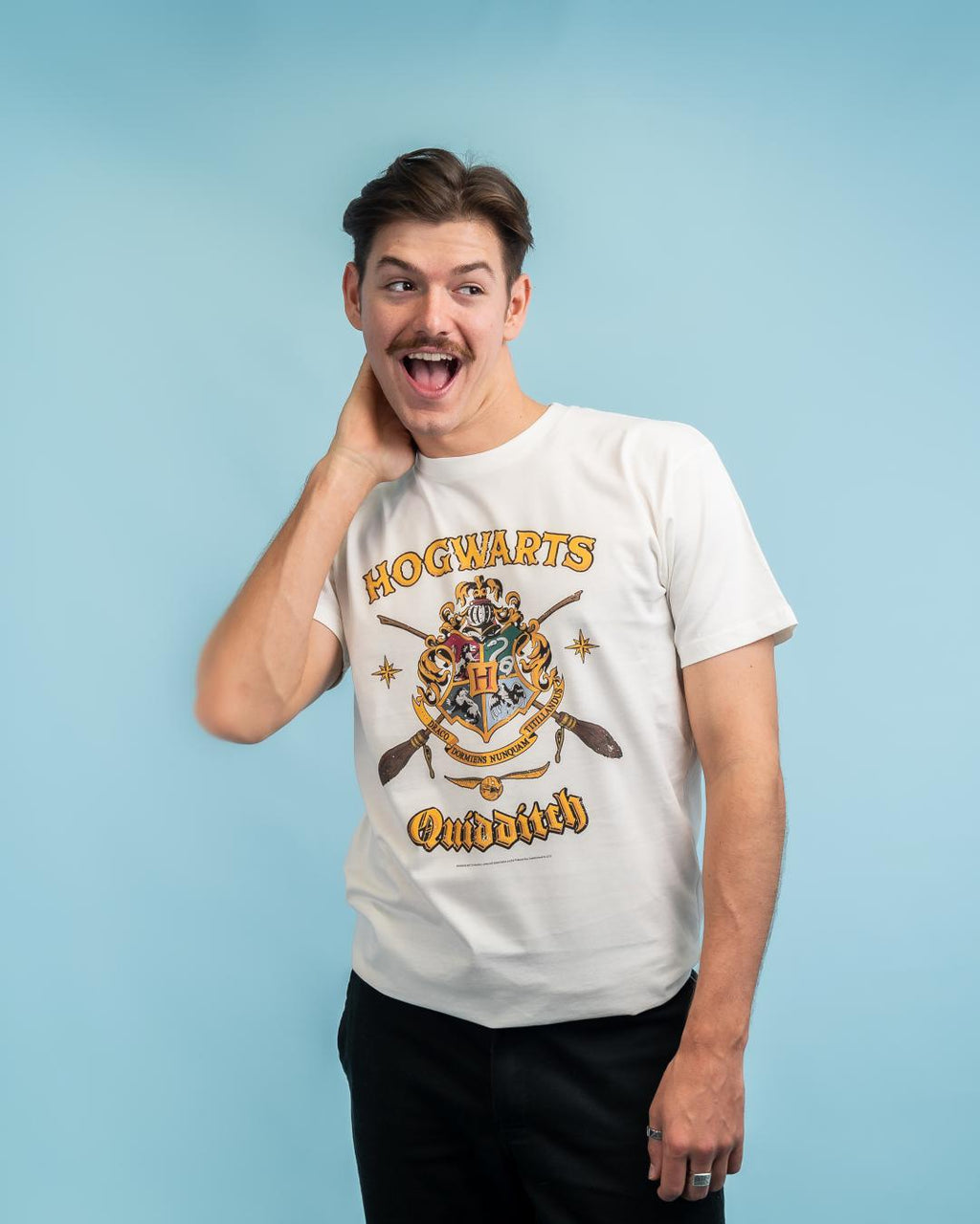 Hogwarts Quidditch Shield T-Shirt product image 5