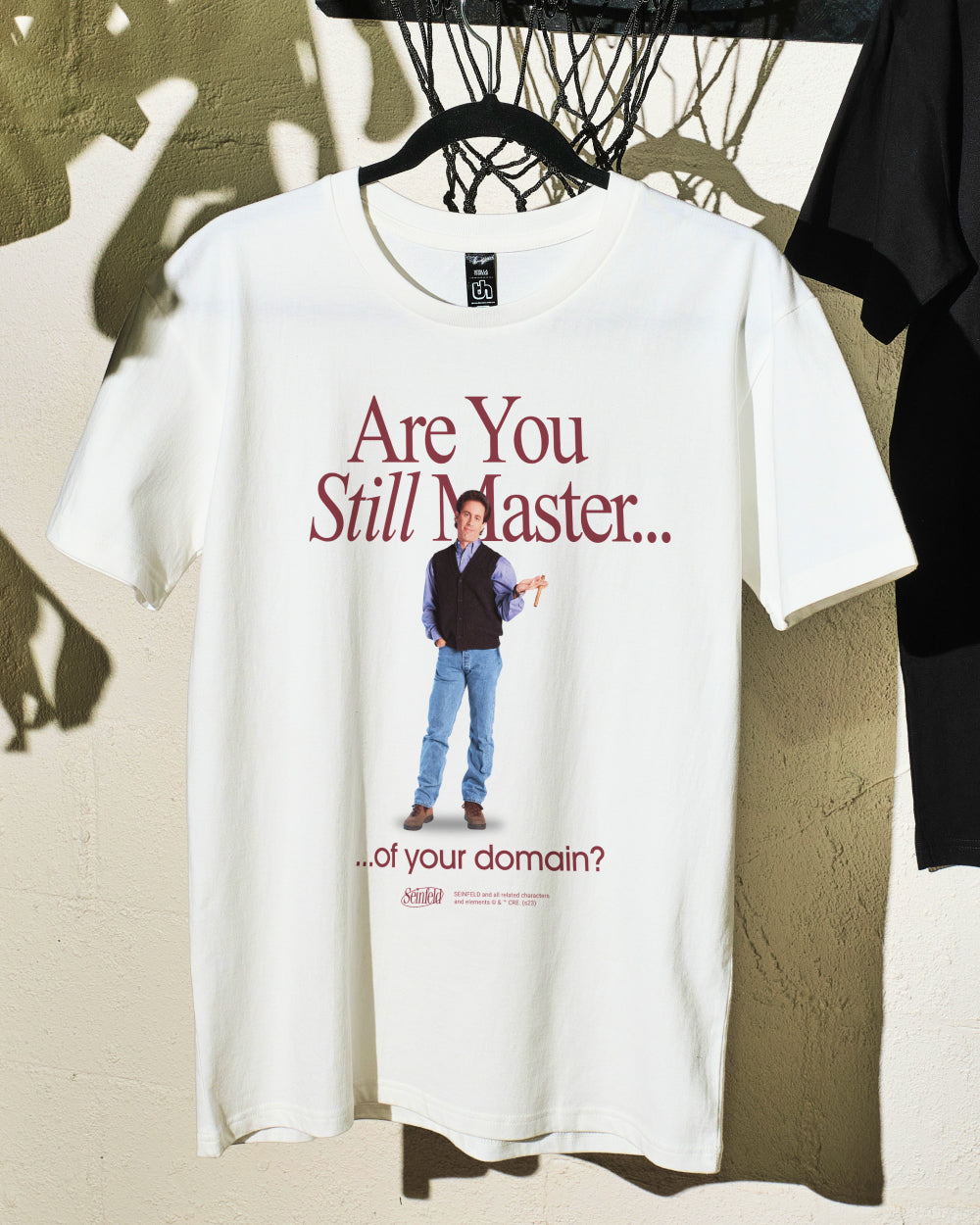 Master of Your Domain T-Shirt product image 4
