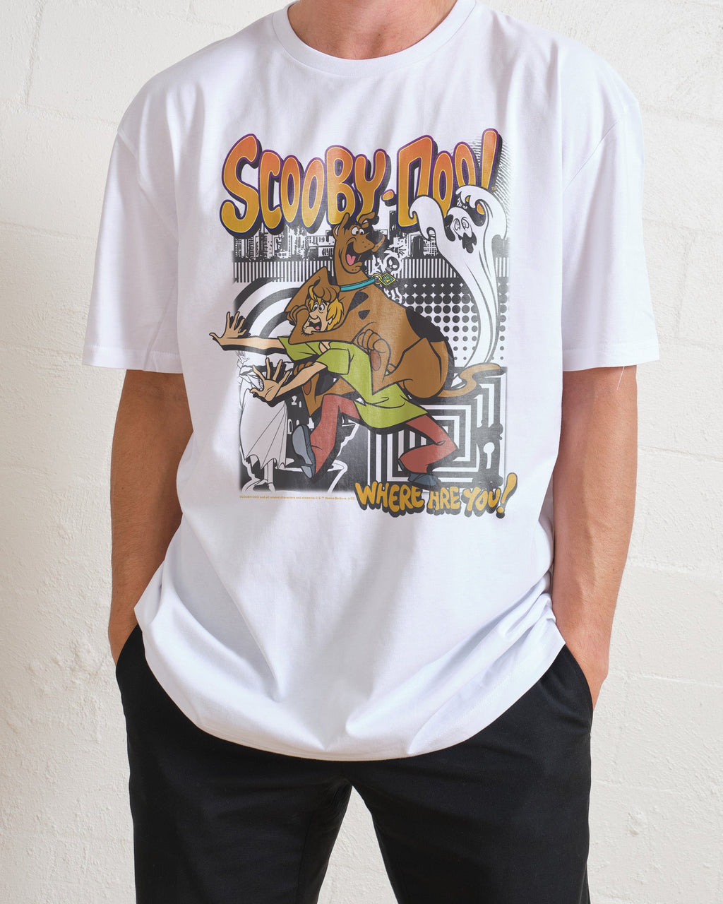 Scooby & Shaggy T-Shirt product image 1