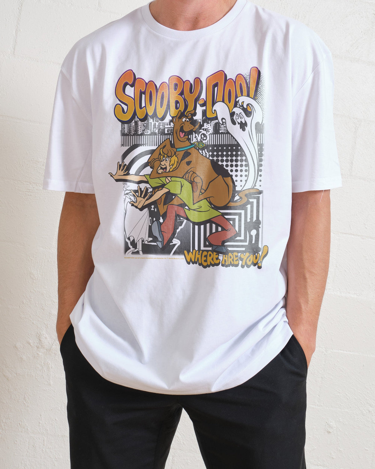 Scooby & Shaggy T-Shirt product image 1
