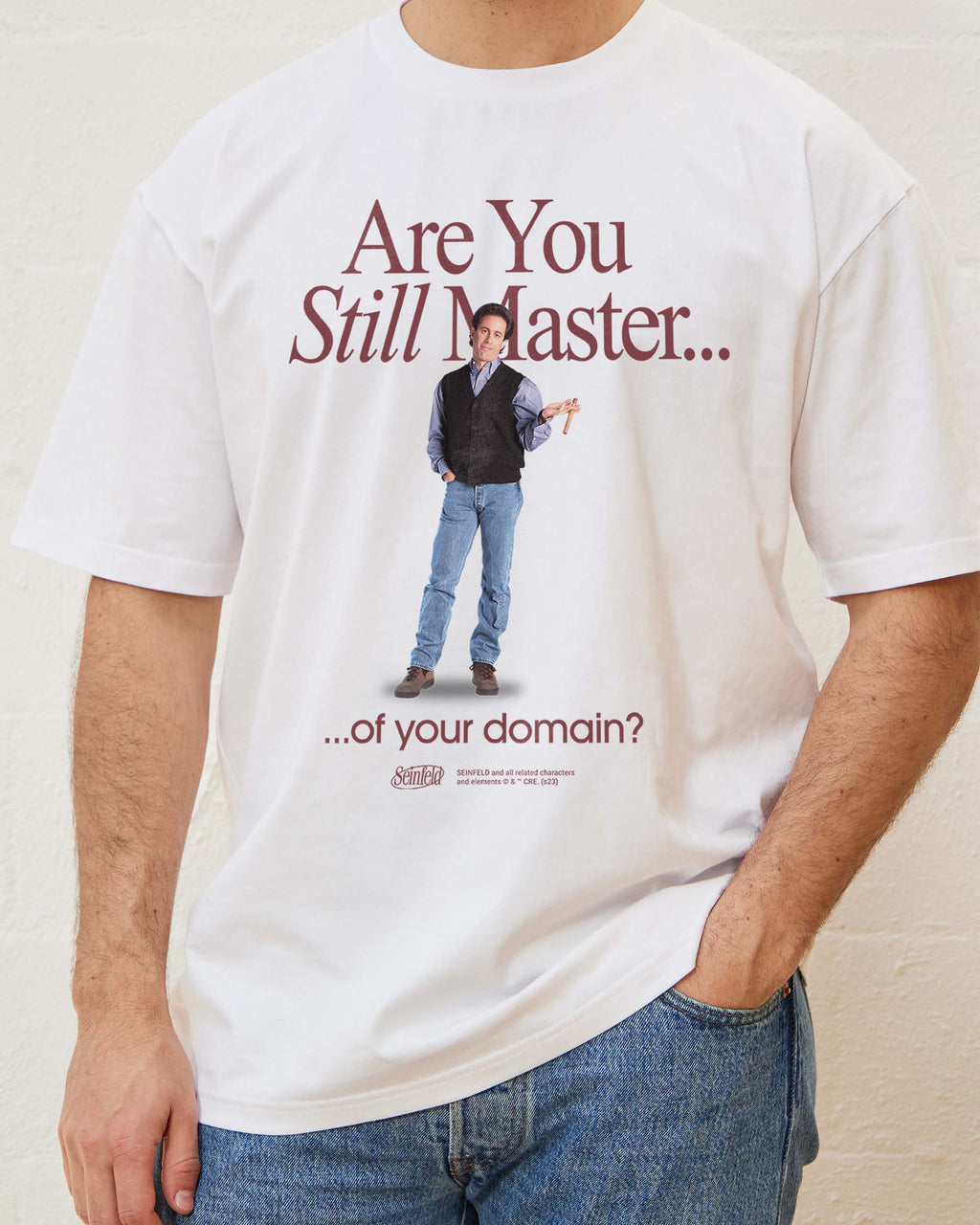 Master of Your Domain T-Shirt product image 3